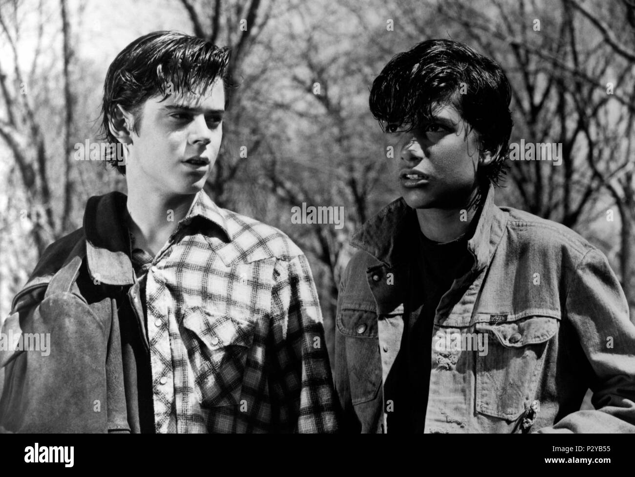 the outsiders characters darry curtis