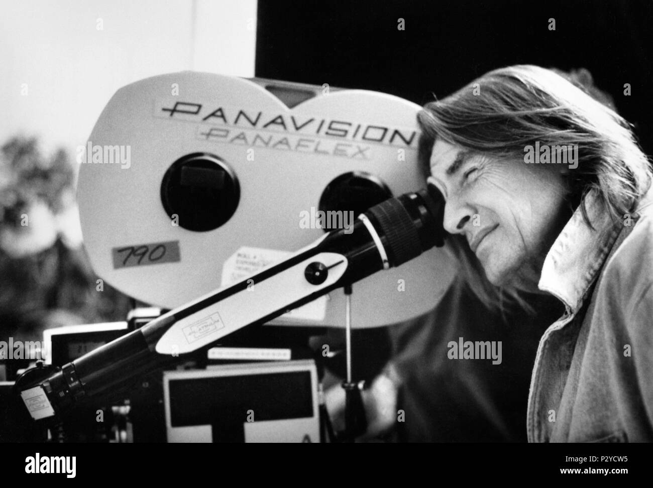 Original Film Title: FALLING DOWN. English Title: FALLING DOWN. Film