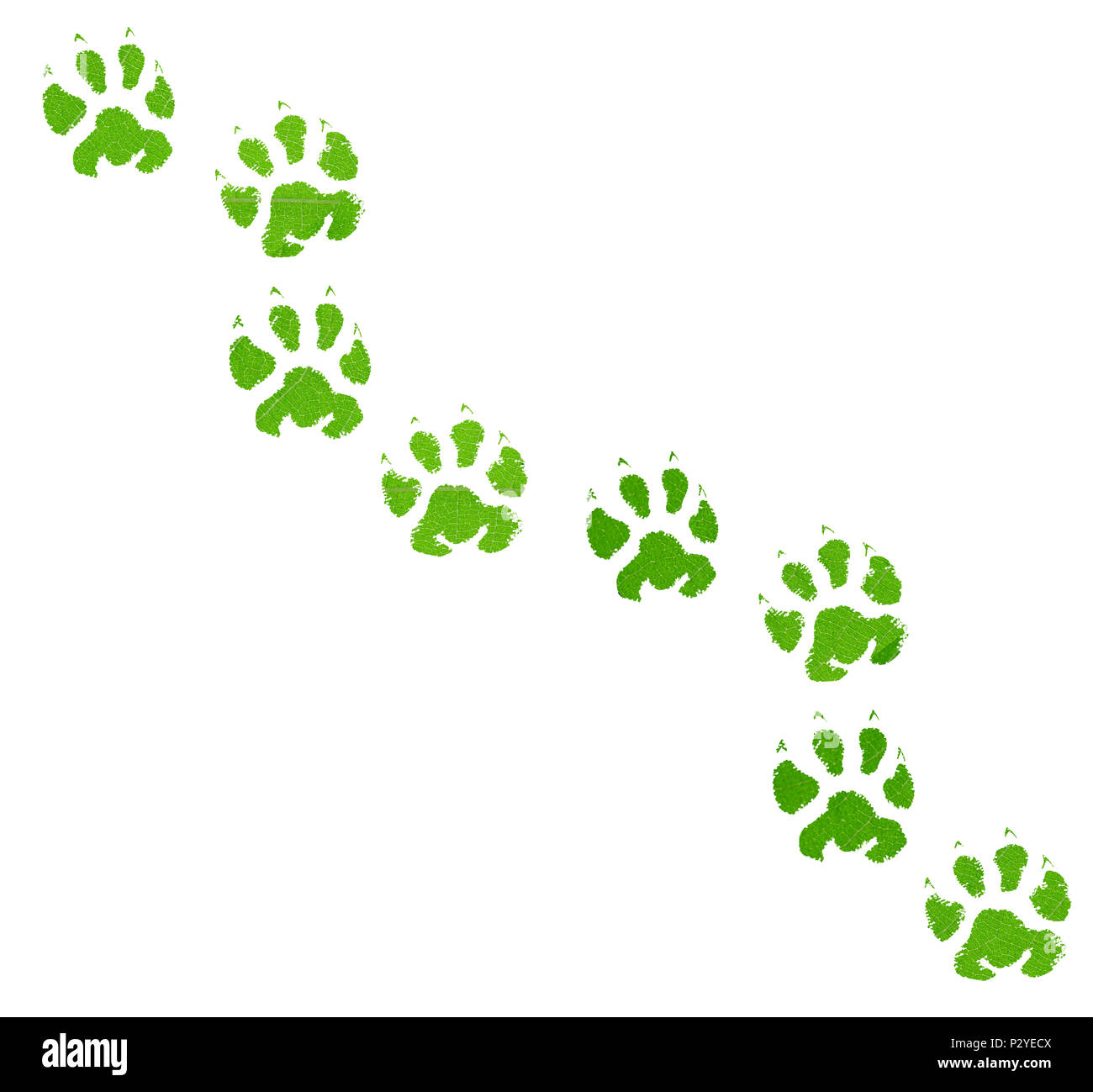 Лапки mercurial remix. Лапки ремикс. Лапки ремикс. Лапки ремикс. Рисунок зелёный след.