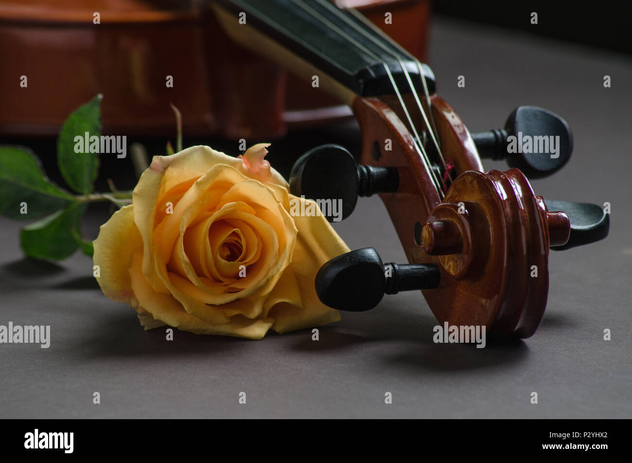 Violin and a rose on a brown table Stock Photo