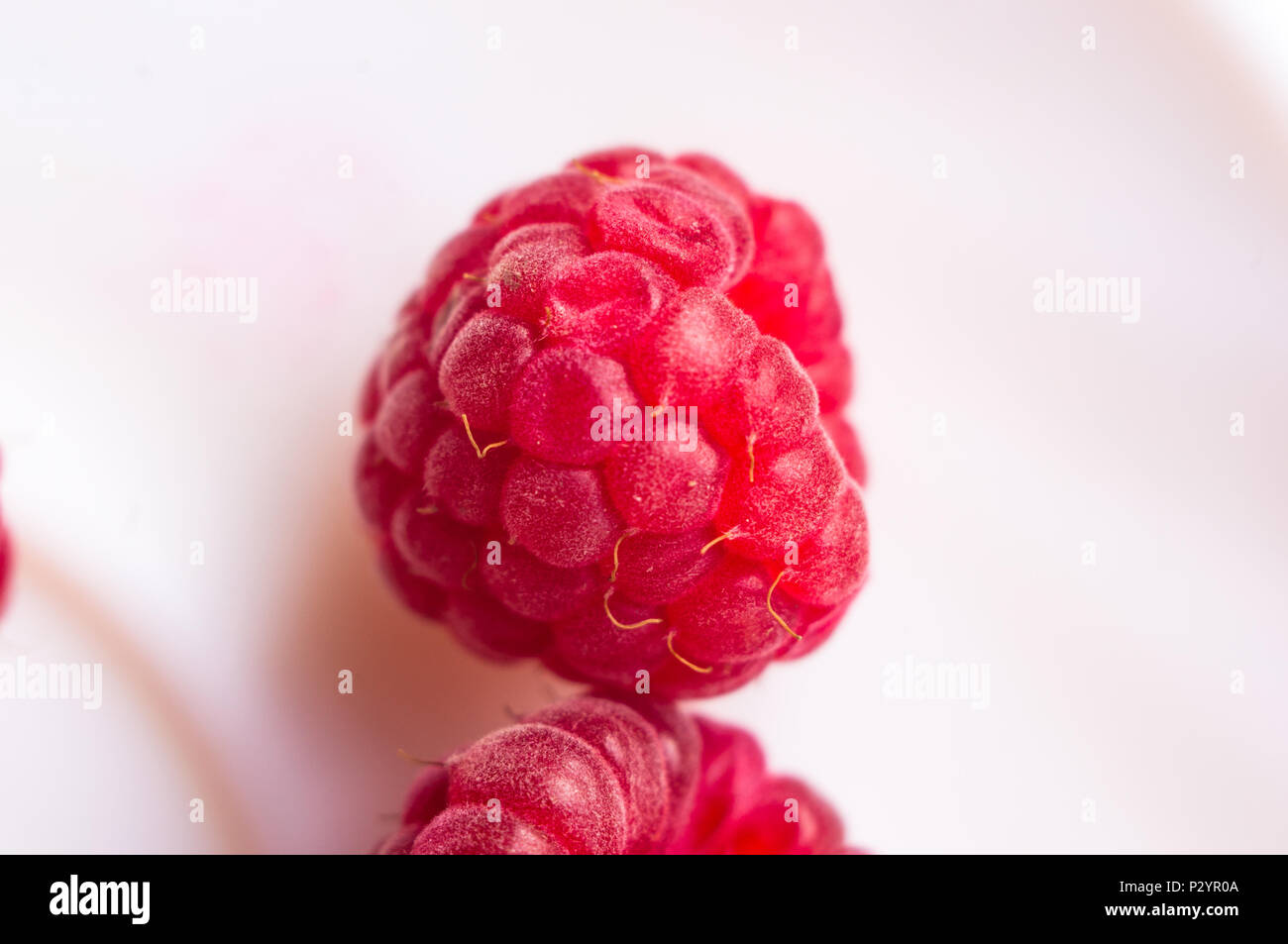 big fresh juicy raspberries on a white saucer close up, selected focus ...