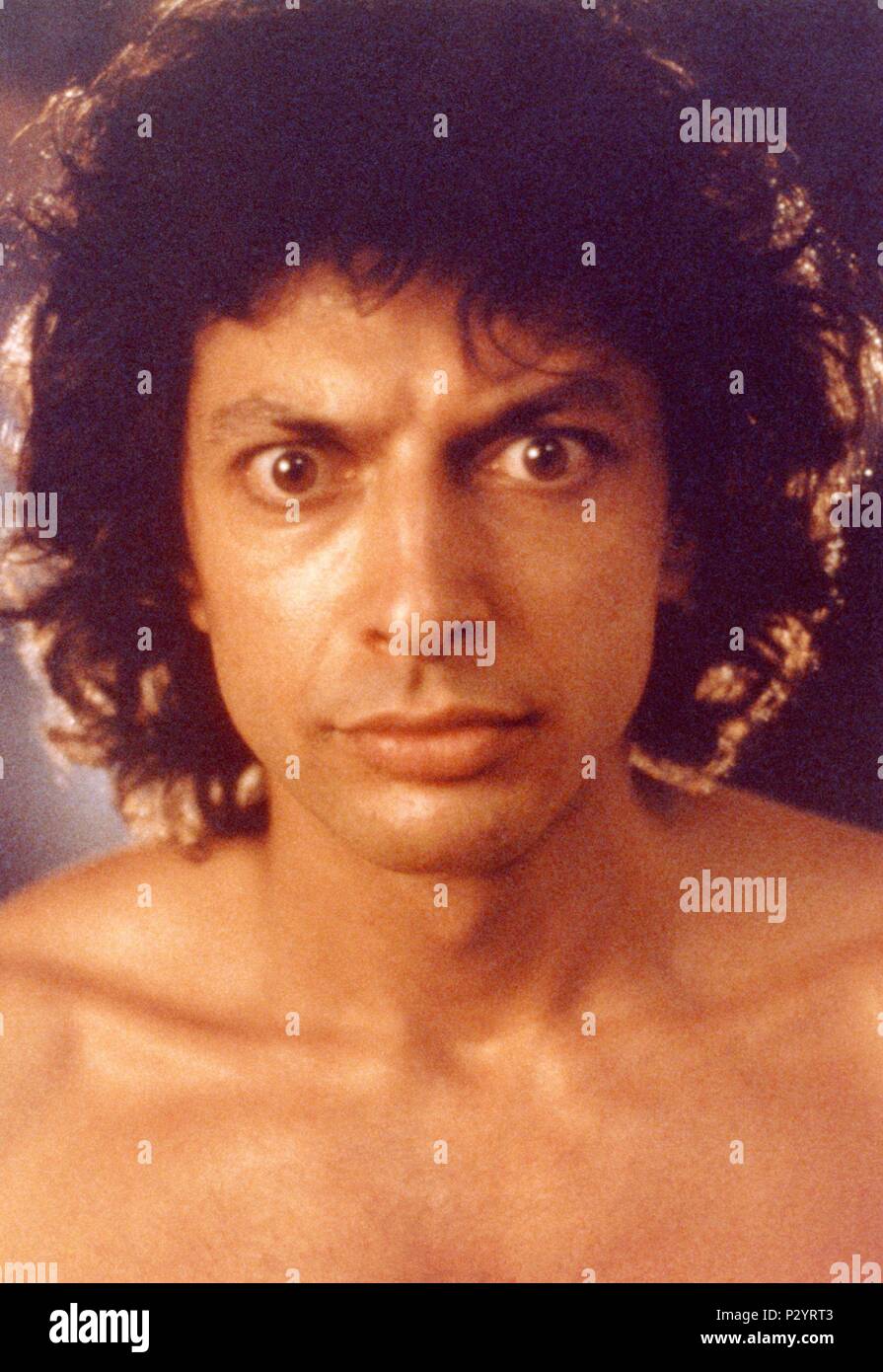 Original Film Title: THE FLY.  English Title: THE FLY.  Film Director: DAVID CRONENBERG.  Year: 1986.  Stars: JEFF GOLDBLUM. Credit: 20TH CENTURY FOX / Album Stock Photo