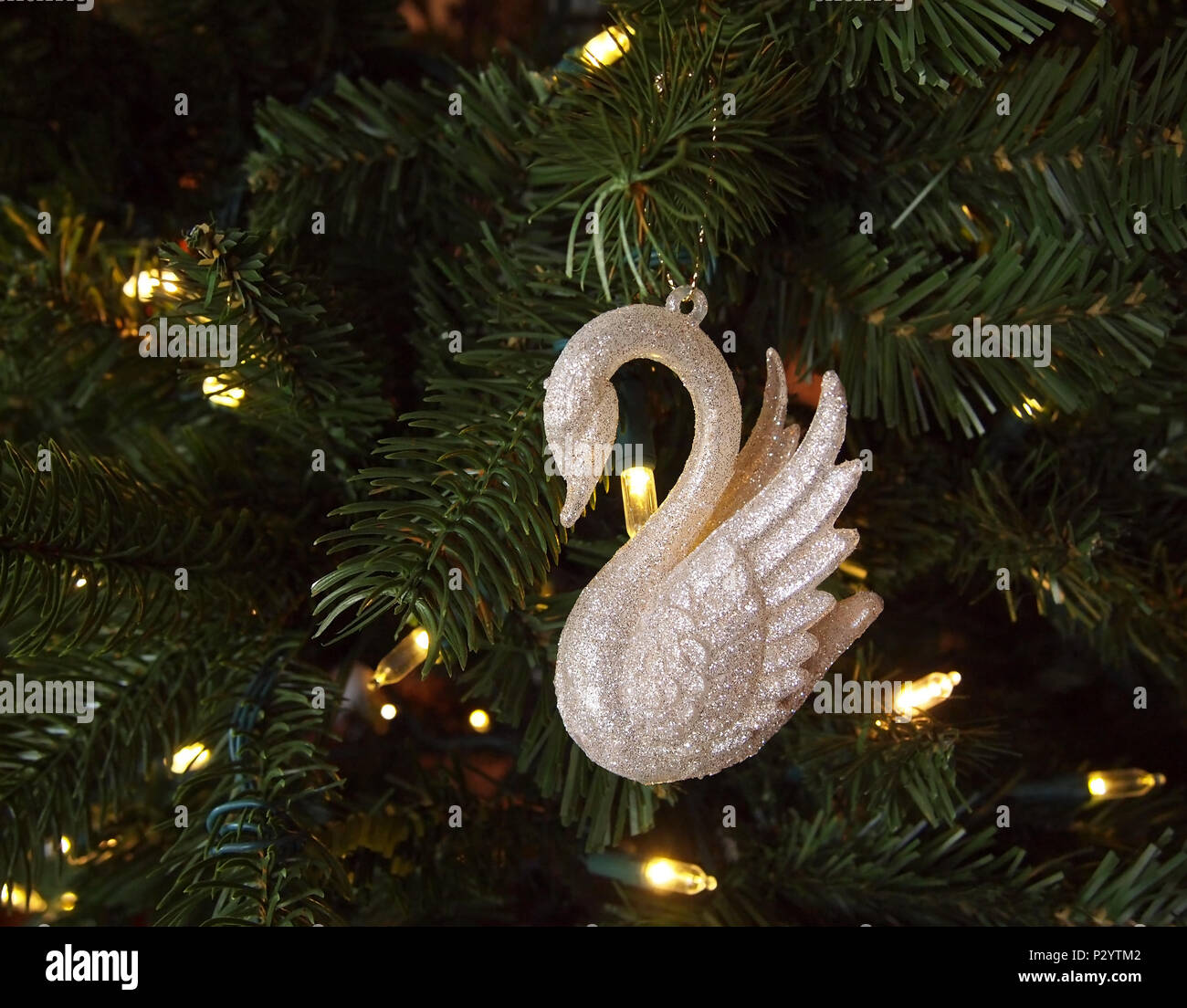 Closeup of a glittery white swan ornament hanging in a green Christmas tree with twinkling white LED string lights. Stock Photo