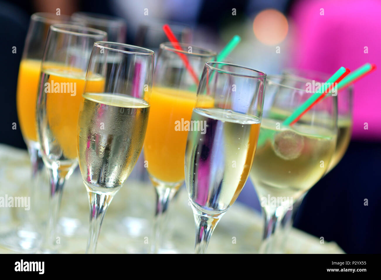 Oldenburg Germany, sparkling wine and aperitifs at a sect reception Stock Photo