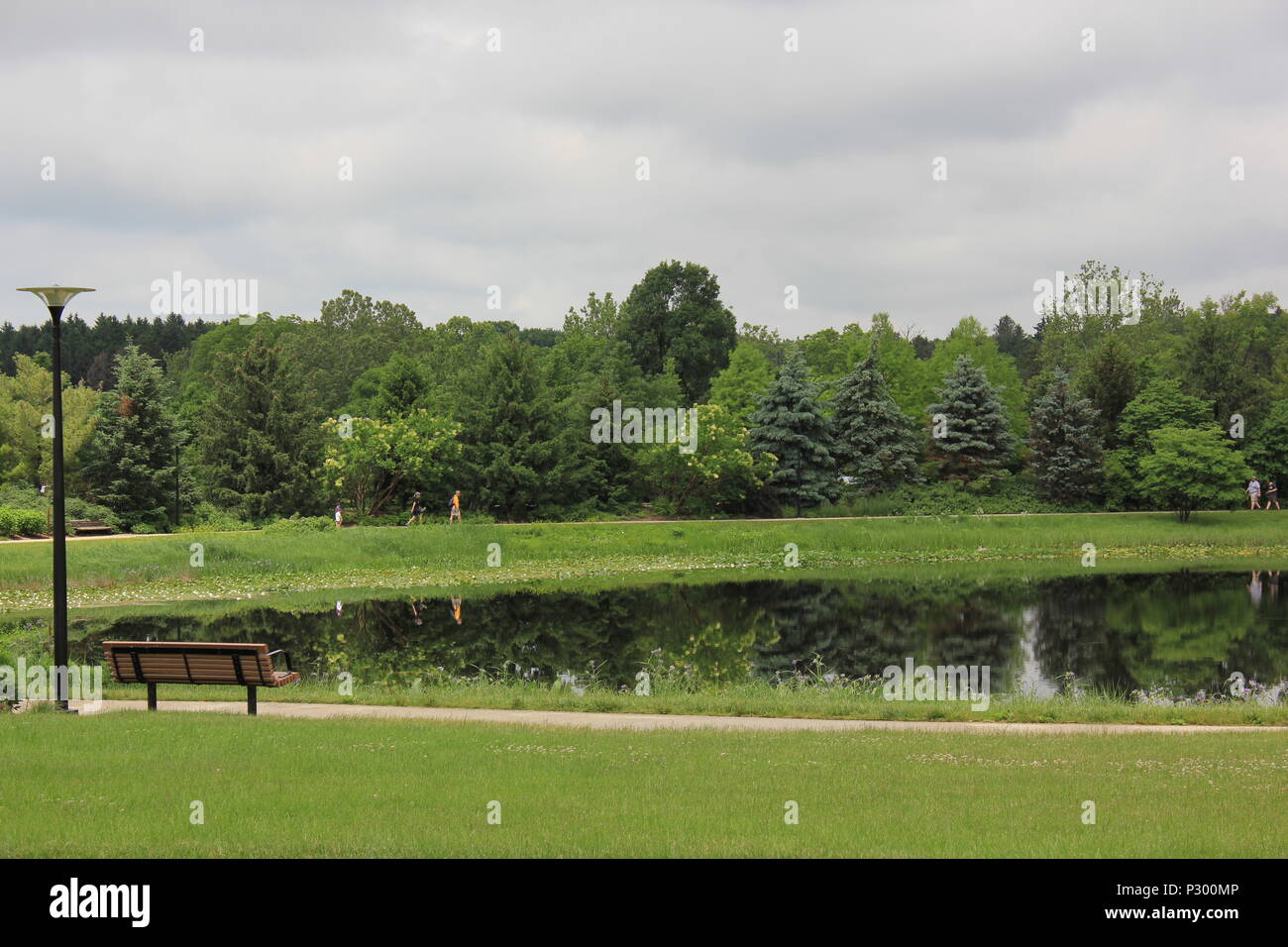 Beautiful lake surrounded by green trees and a bench Stock Photo - Alamy