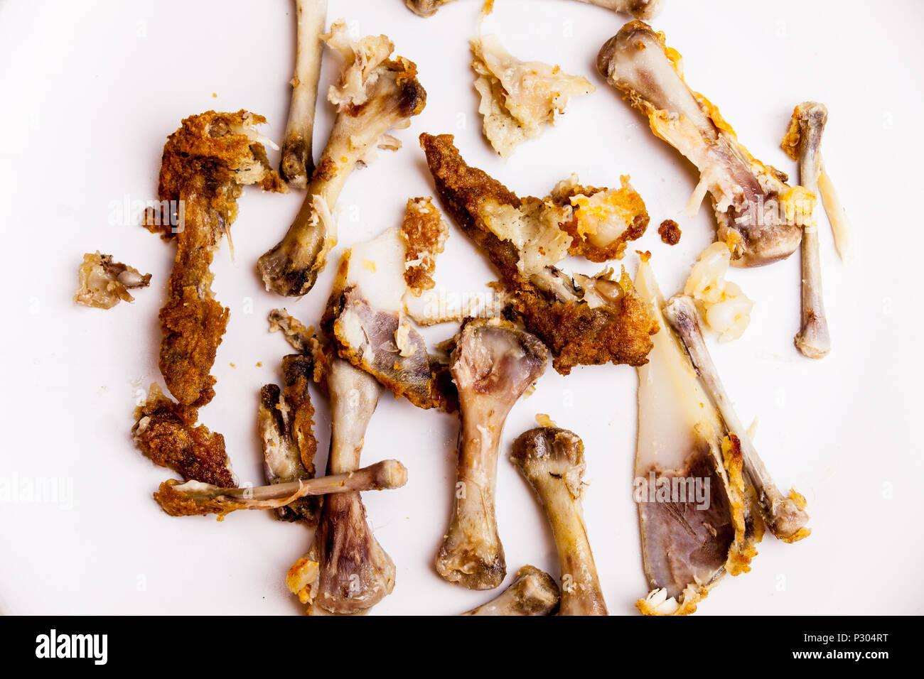 Chicken wings leftovers on the white background. Chicken bones on the plate. Unhealthy meat food