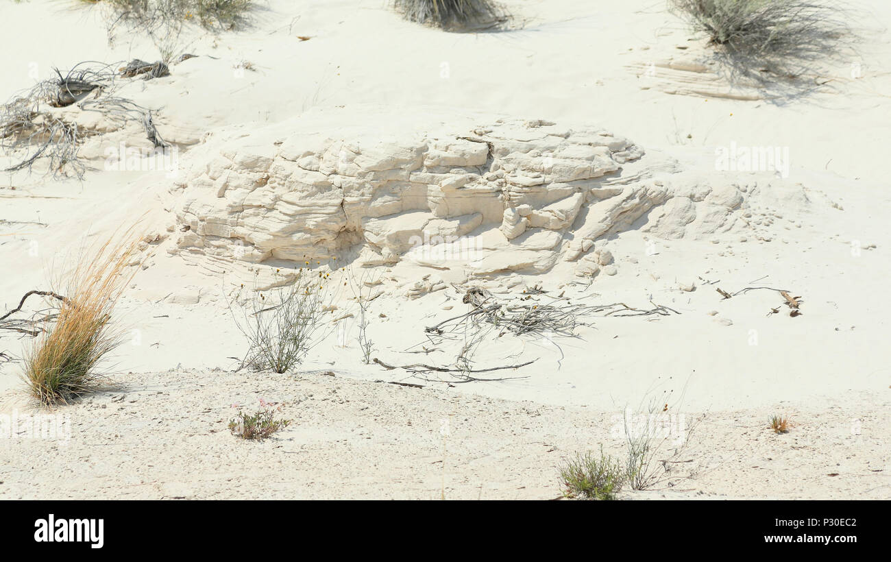 Wind sculpted sand layers in a gypsum sand desert near Las Cruces, New Mexico Stock Photo