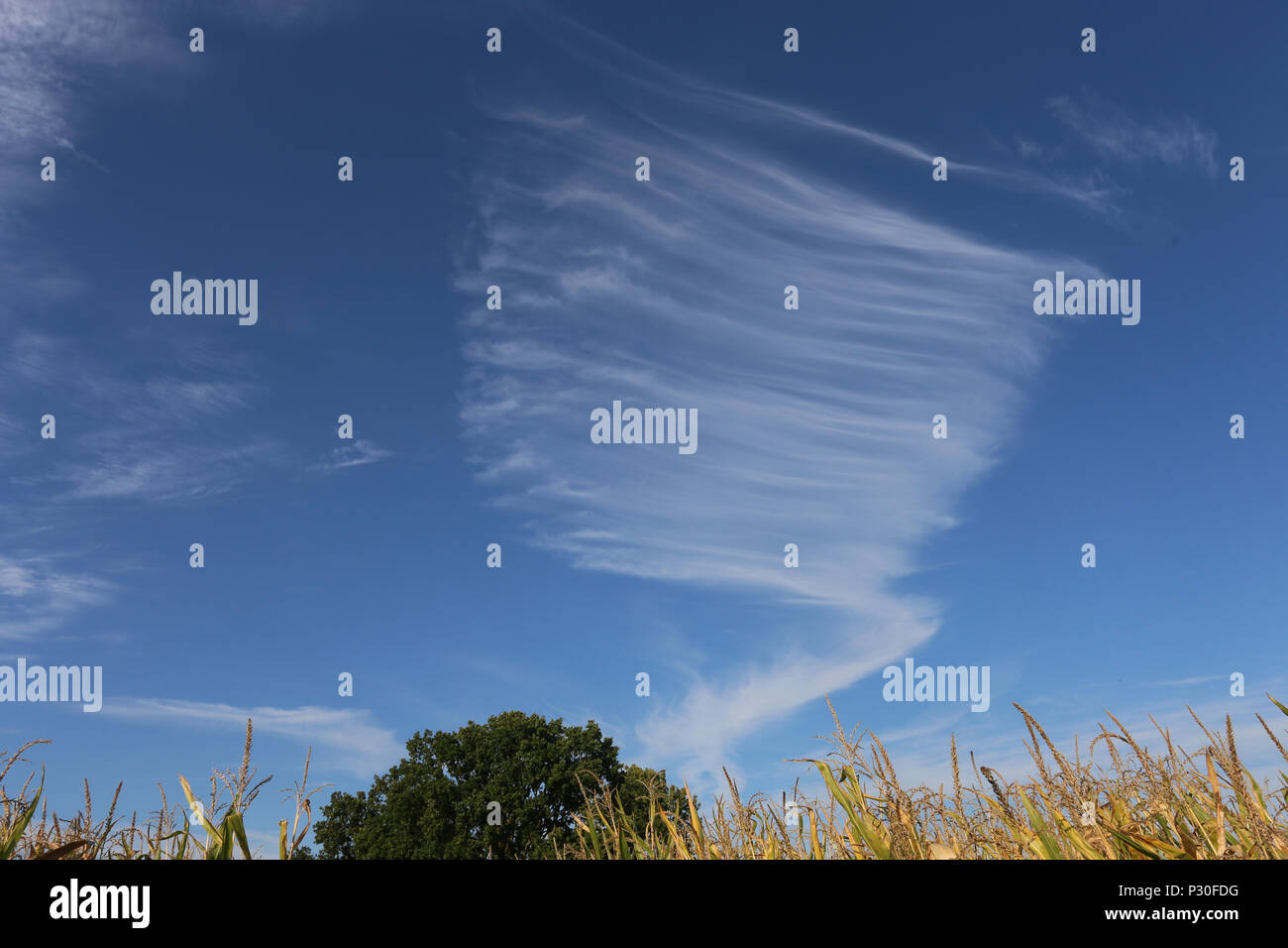 Hohwacht, Germany, Cirrus clouds in the sky Stock Photo