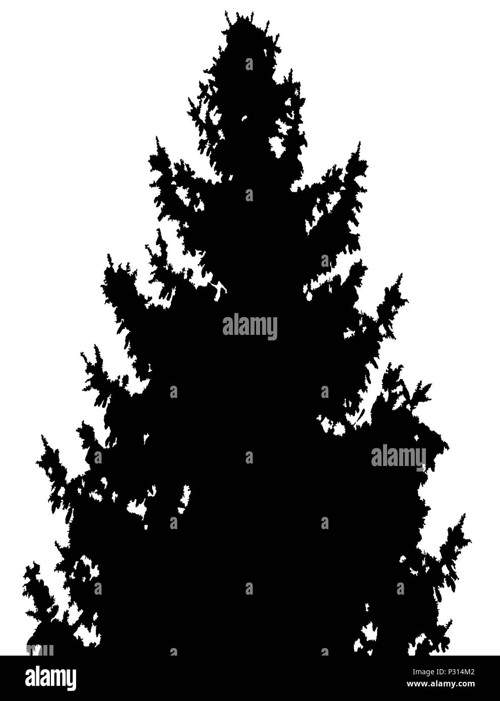 fir-tree with cones silhouette isolated on white background vector illustration Stock Vector