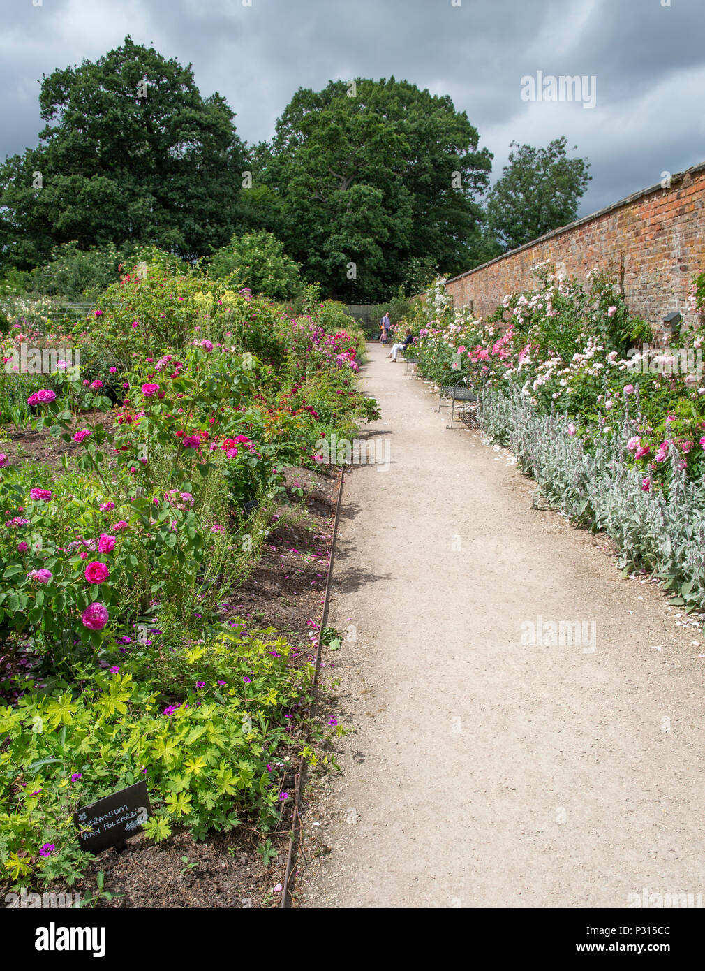 Views of Dunham Massey national Trust property and gardens near