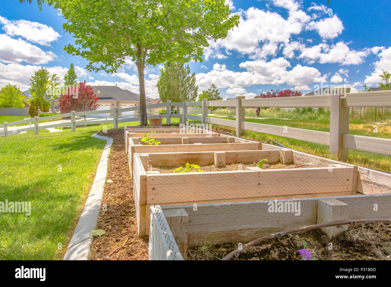 Empty raised beds hi-res stock photography and images - Alamy