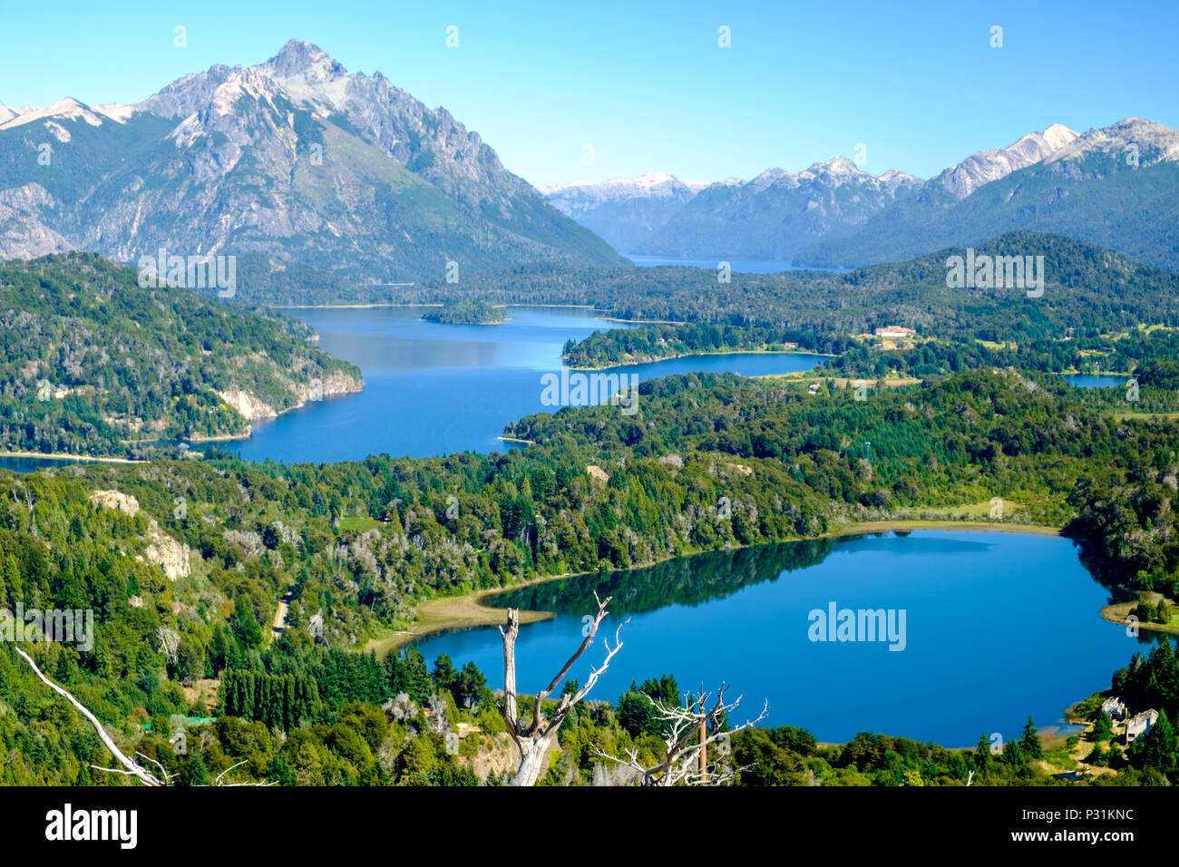 This is what you see when you hike to Cerro Campanario near Bariloche. You can also take the chairlift. The view on the lakes and the Andes is great. Stock Photo