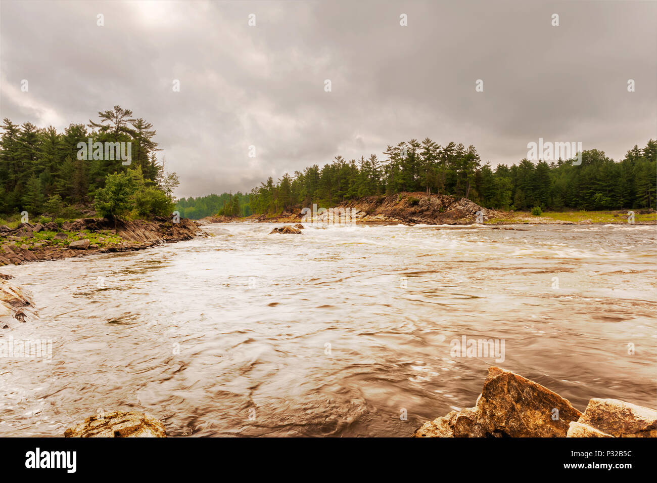 Forest river in ontario canada hi-res stock photography and images - Alamy