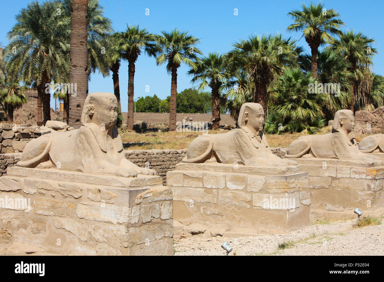 Sphinx Statues Stock Photo