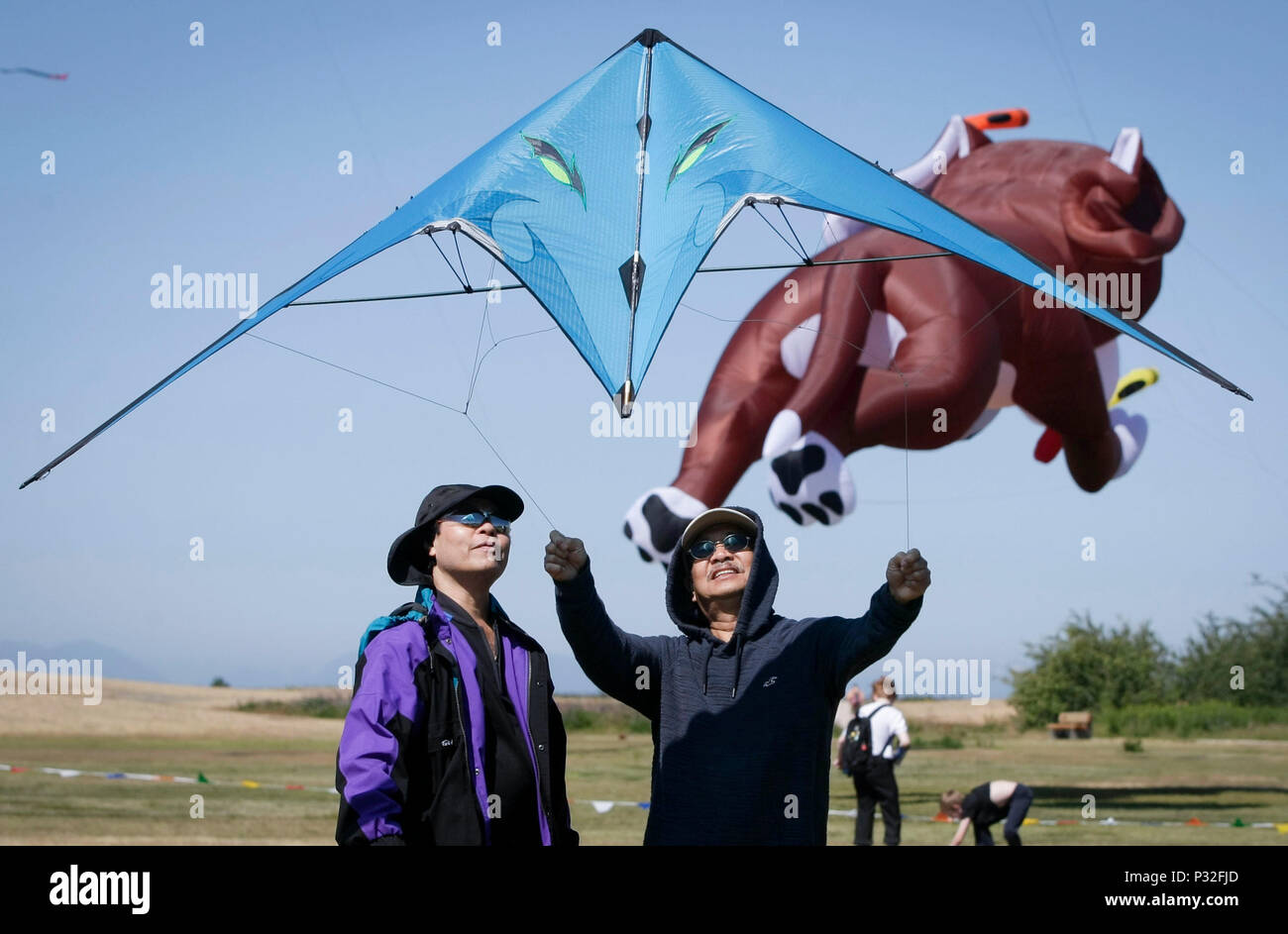Professional kite flyers hires stock photography and images Alamy