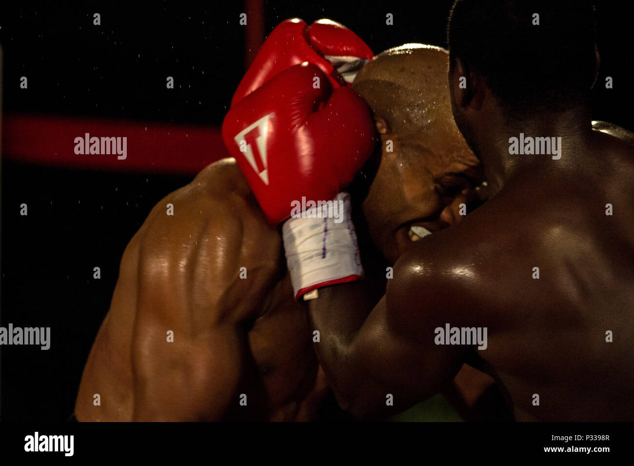 Page 2 - Professional Boxing High Resolution Stock Photography and Images -  Alamy