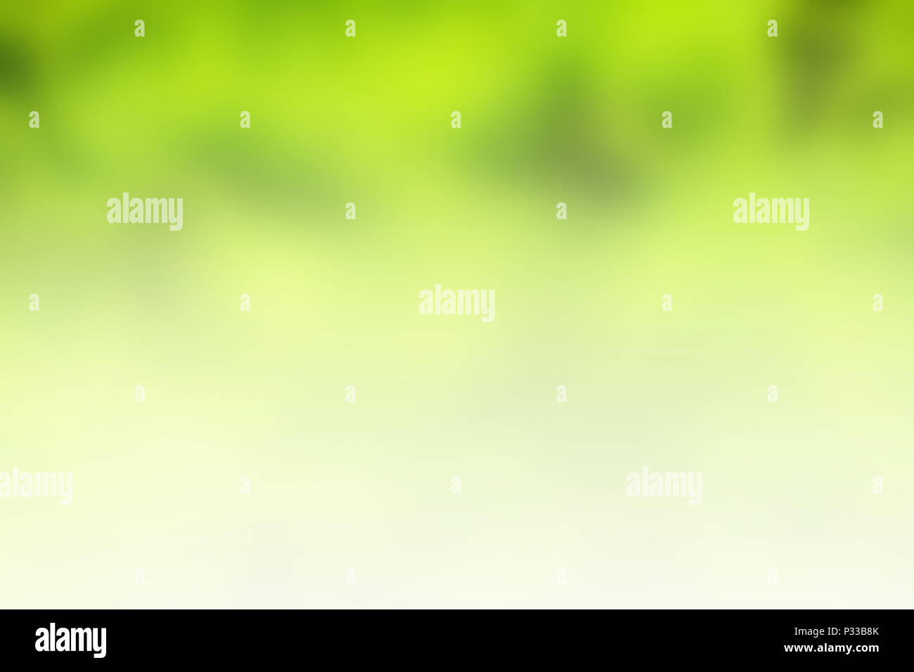 Green summer blurred abstract background. Stock Photo