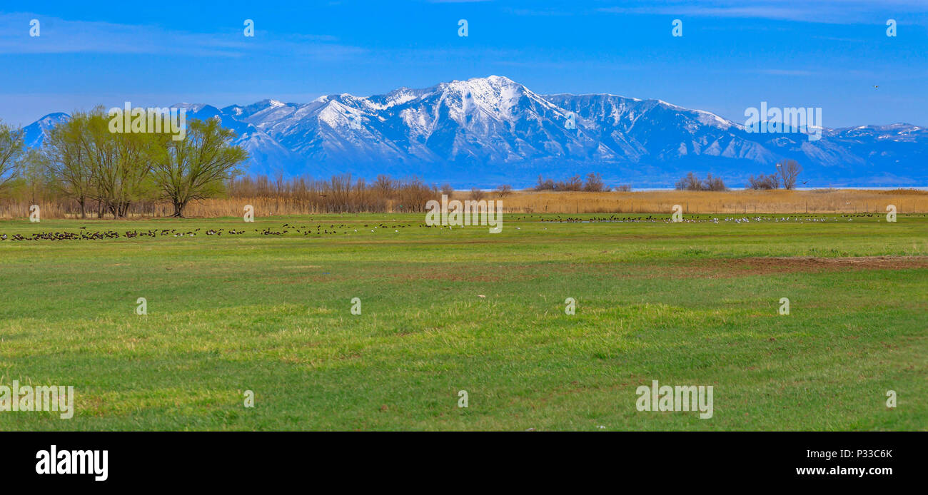 Santaquin peak hires stock photography and images Alamy