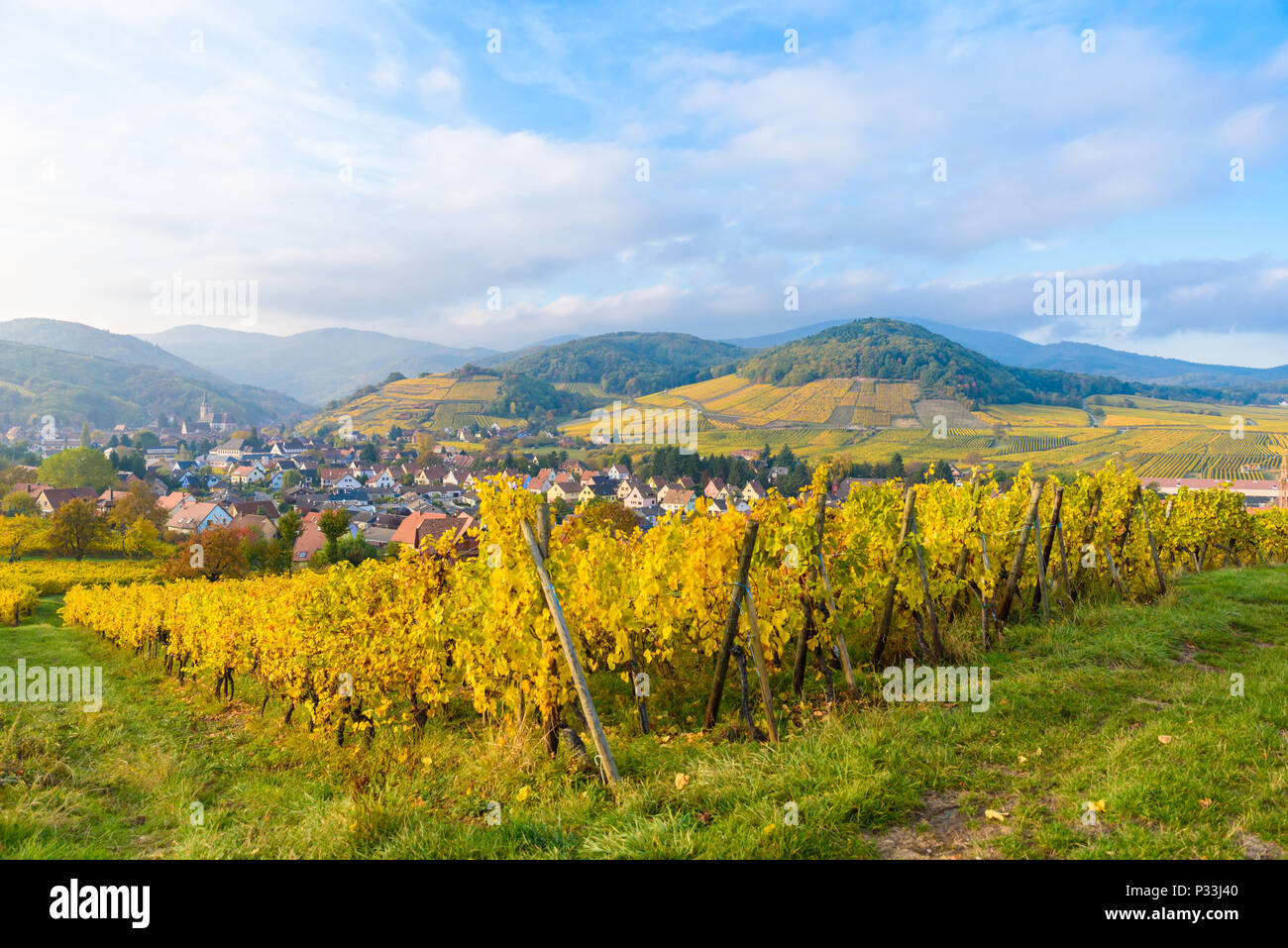 Village of Barr in Vineyard landscape in region Alsace, France Stock Photo