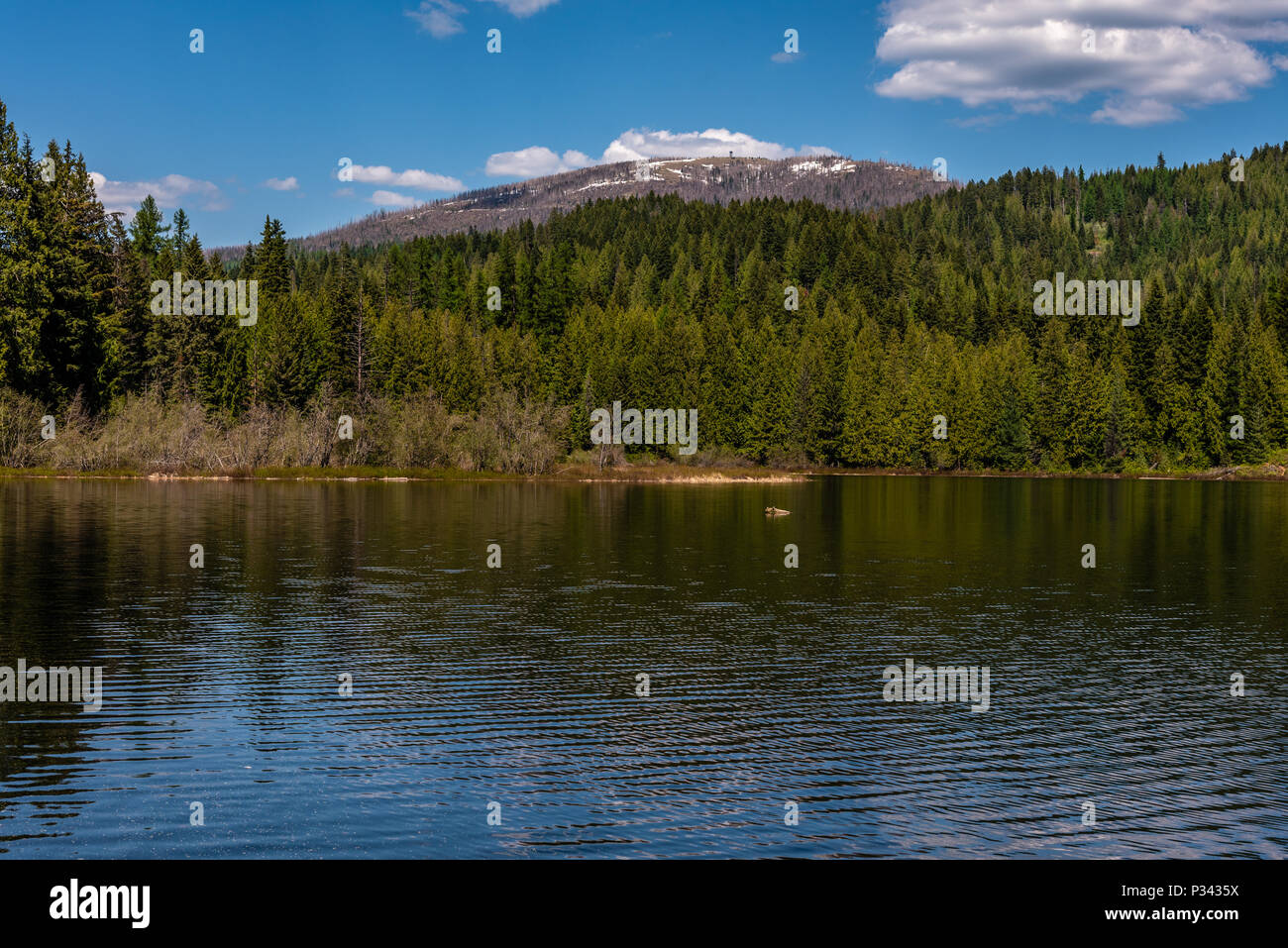 South Skookum Lake Stock Photo Alamy