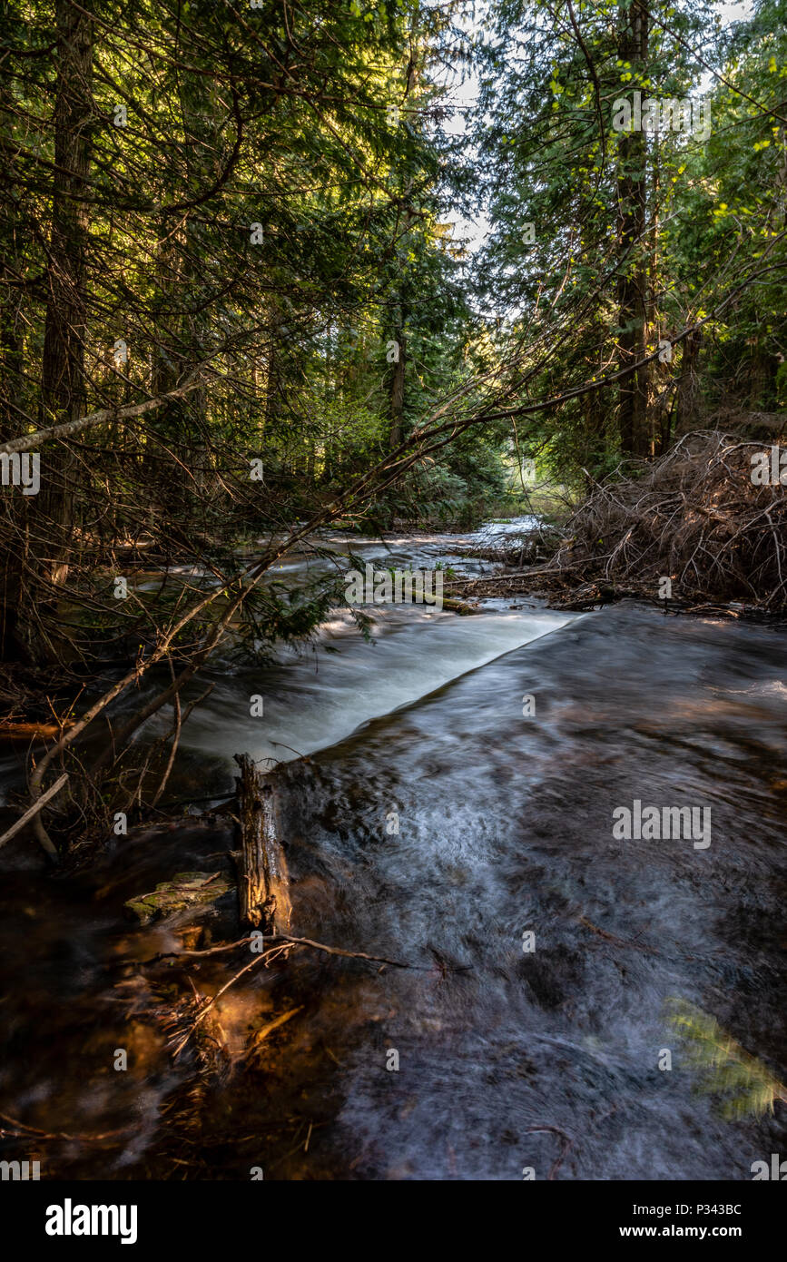 Skookum hires stock photography and images Alamy