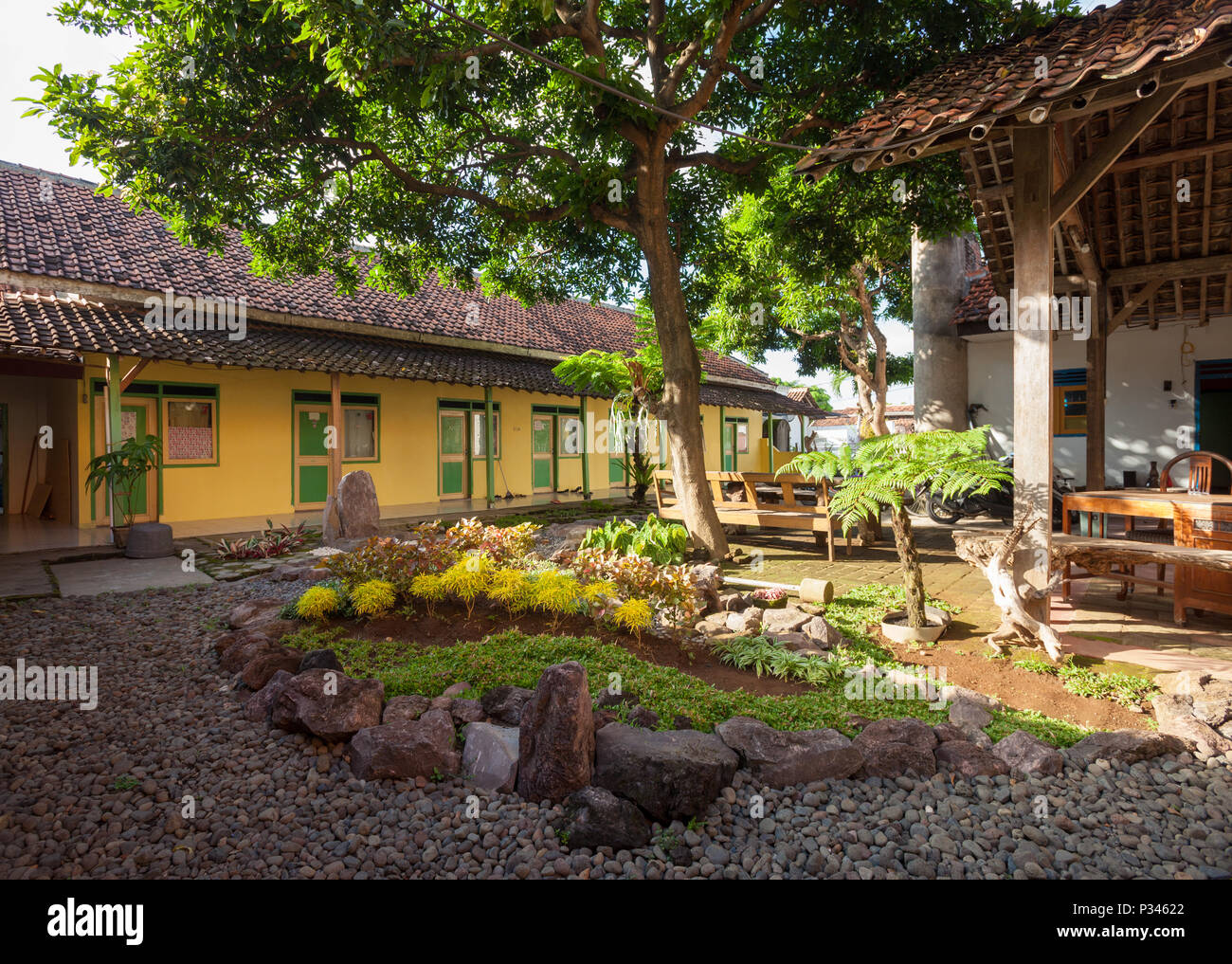 Garden with Bonsai trees on Java, Indonesia Stock Photo - Alamy