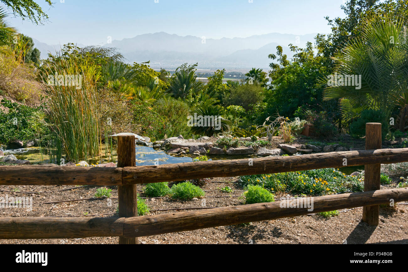 a view of the Moav Mountains in Jordan from the exotic botanical garden in eilat israel Stock Photo