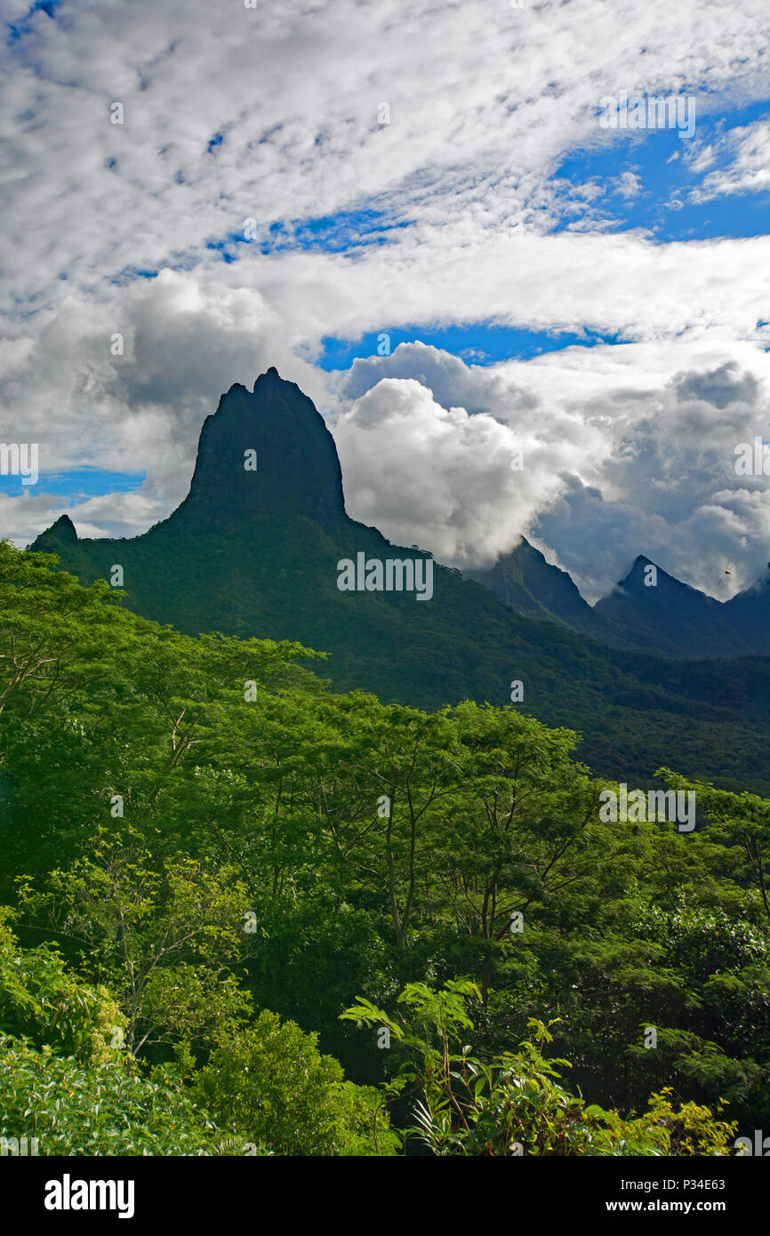 Mountain peak  in the jungle covered hills of Moorea with a backdrop of spectacular clouds against a blue sky. Stock Photo