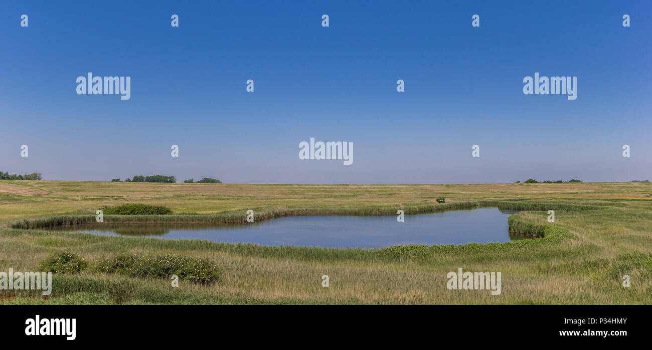 Lake in the natural reserve of Zandkes on Texel island, Netherlands Stock Photo