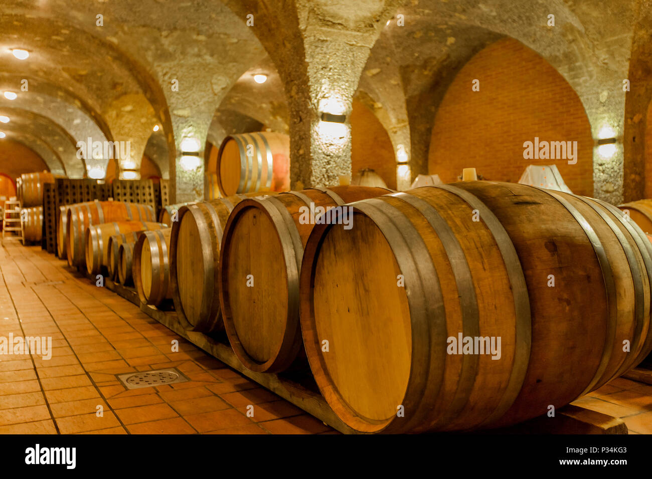 View at old barrels in the wine cellar Stock Photo