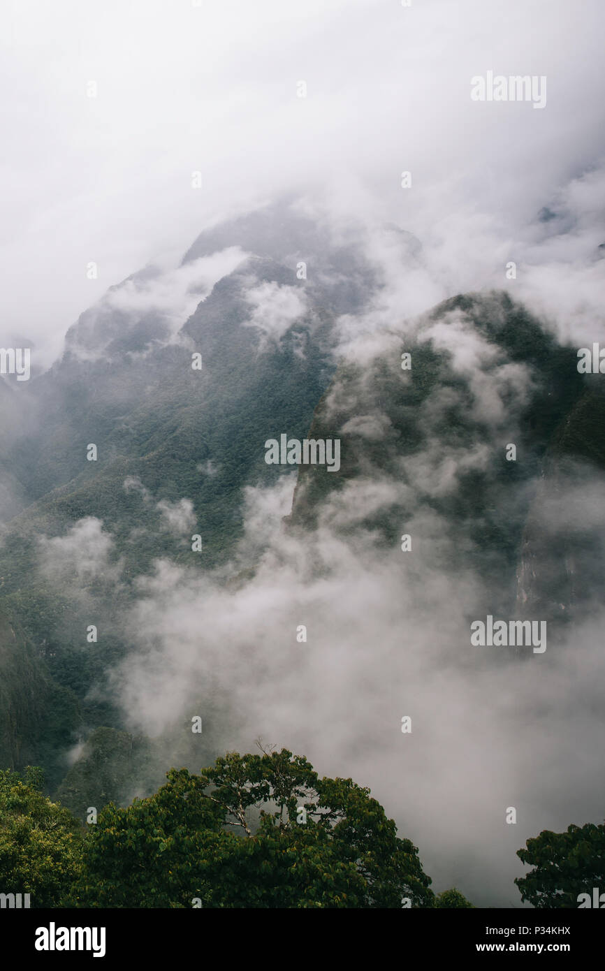Detail of the wilderness around Machu Picchu Inca citadel in Peru Stock ...