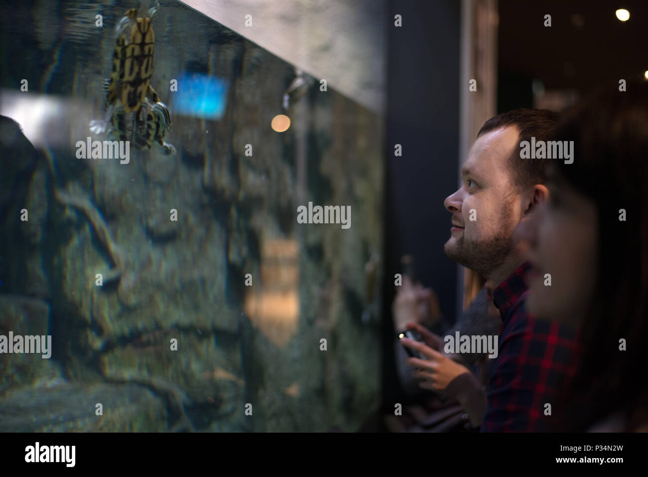 Side view of man watching the reptiles and holding camera in aquarium center Stock Photo Alamy