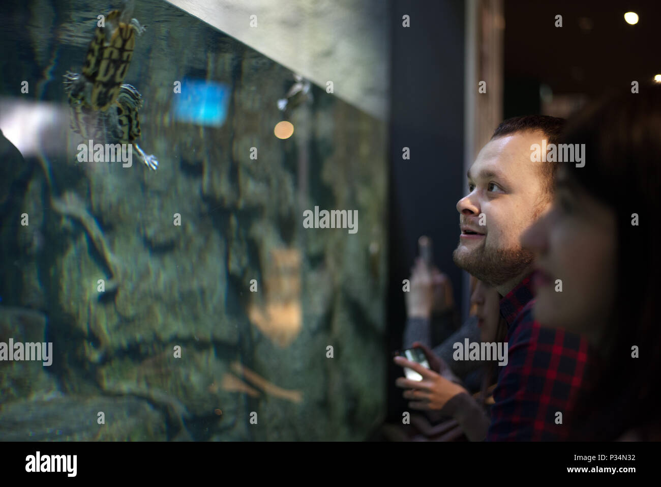 Cheerful excited adult man holding camera and watching reptiles in fishtank in oceanarium center. Stock Photo