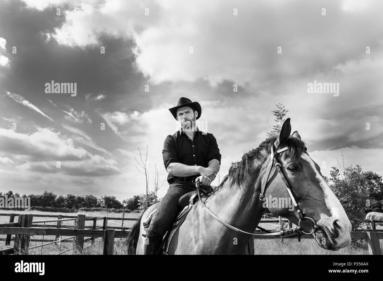 Good looking, hunky cowboy rides horse with boots, chequered shirt and