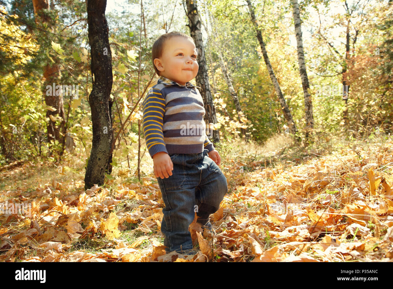 Walking fall leaves not family hi-res stock photography and images - Alamy