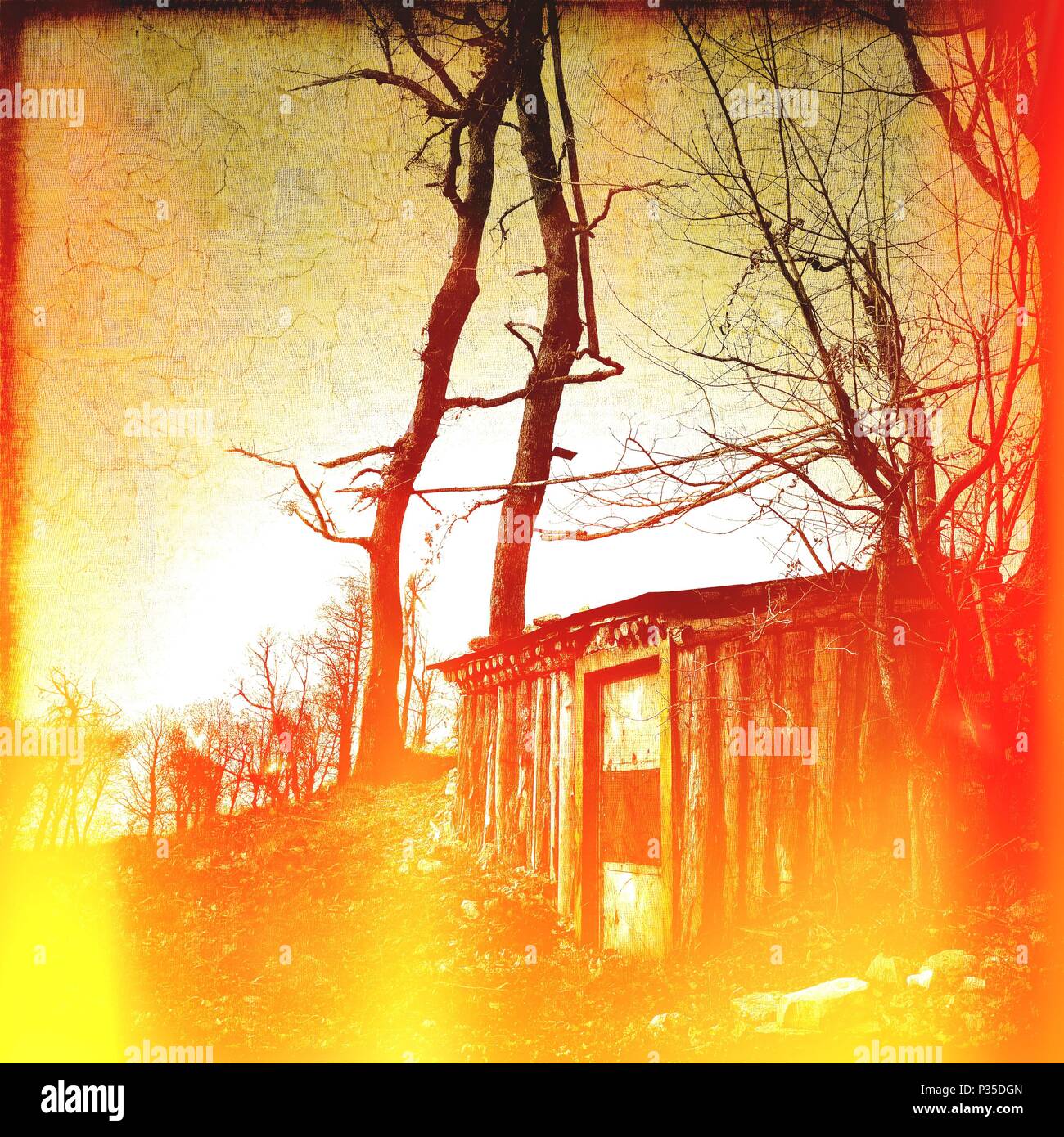 Small shelter in the forest with fire and flames effects Stock Photo ...
