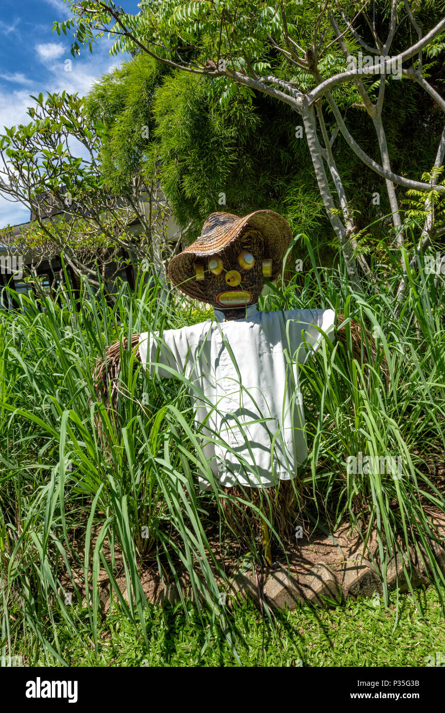 Scarecrow in the grounds of the Shangri La Rasa Ria Hotel and Resort in Kota Kinabalu, Borneo Stock Photo