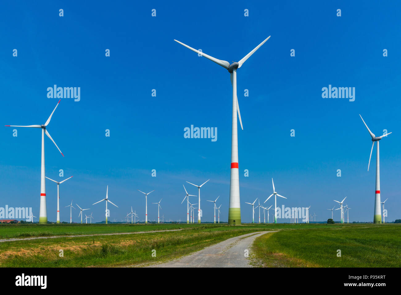 Wind energy park, Westerholt, East Frisia, Lower Saxony, Germany Stock Photo