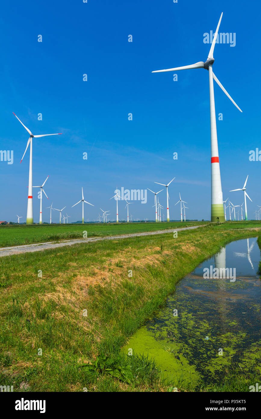 Wind energy park, Westerholt, East Frisia, Lower Saxony, Germany Stock Photo