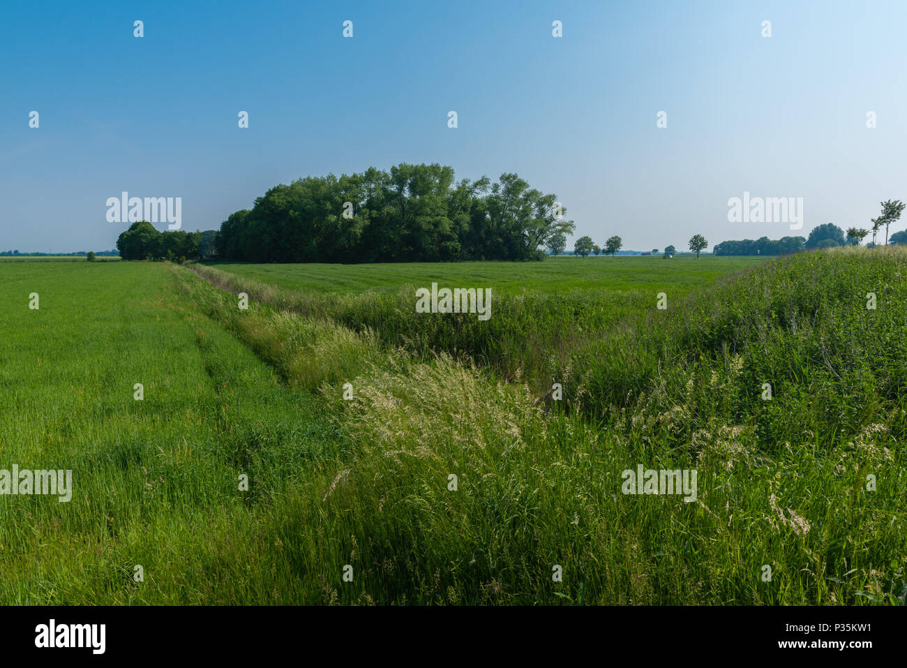 Landscape of agricultural East Frisia, Lower Saxony, Germany Stock Photo