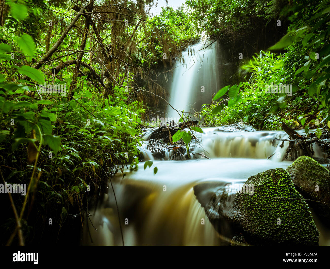 A silky,smooth river winding down the stream. Stock Photo