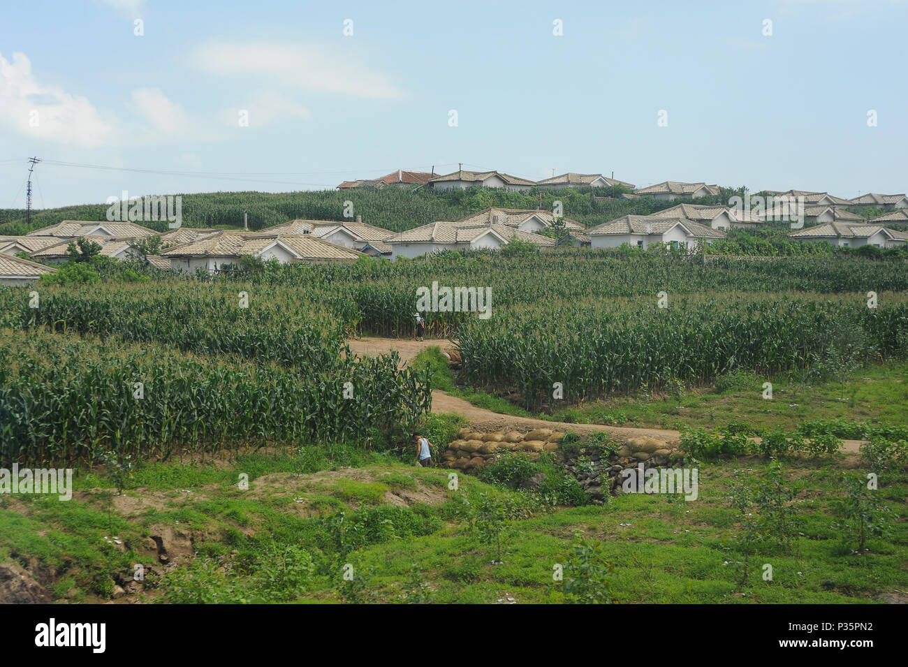 Dongnim, North Korea, landscape between Sinuiju and Pjoengjang Stock Photo