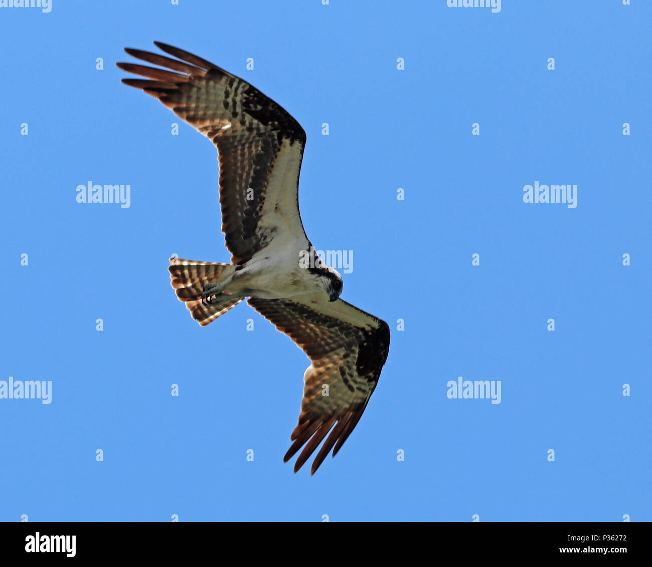 Air currents hi-res stock photography and images - Alamy