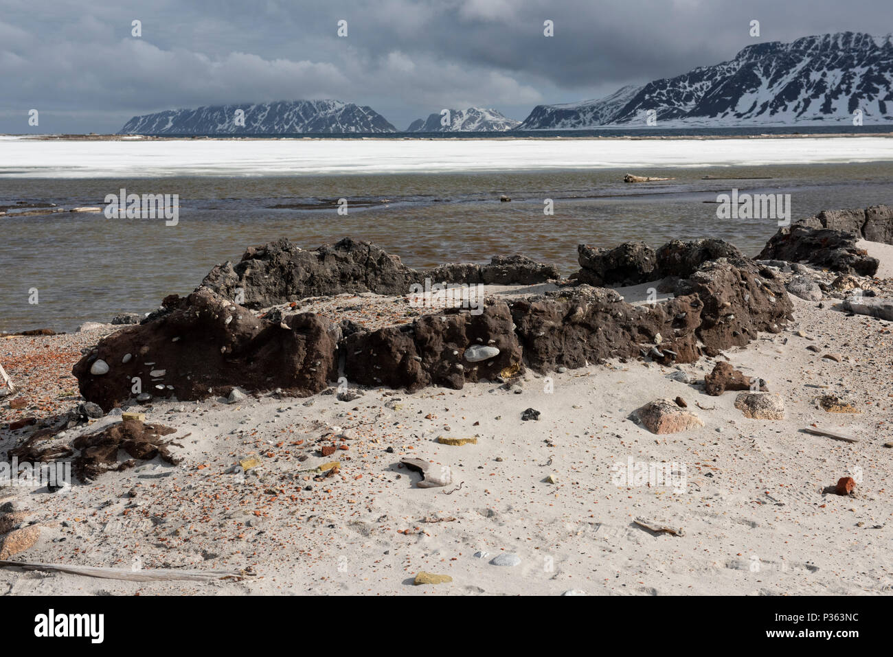 Norway, Svalbard, Spitsbergen, Amsterdam Island aka Amsterdamoya