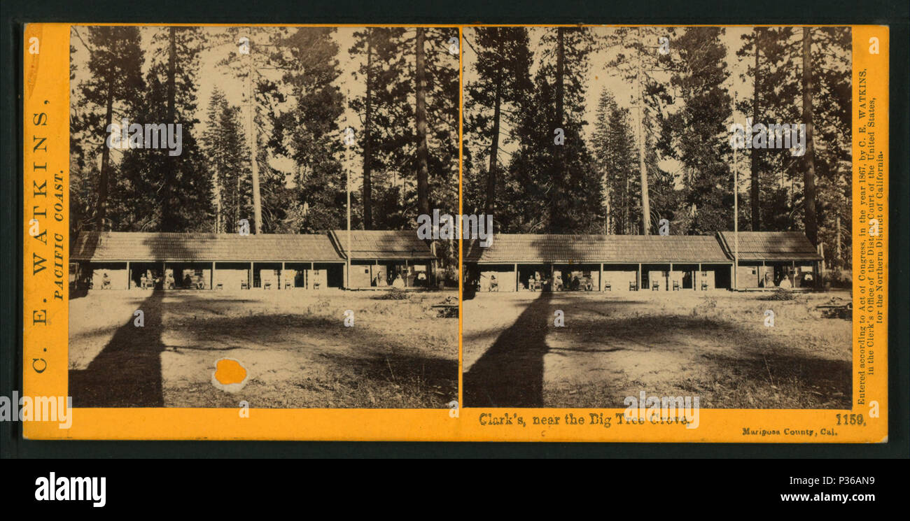 68 Clark's, near the Big Tree Grove, Mariposa County, Cal, by Watkins, Carleton E., 1829-1916 Stock Photo