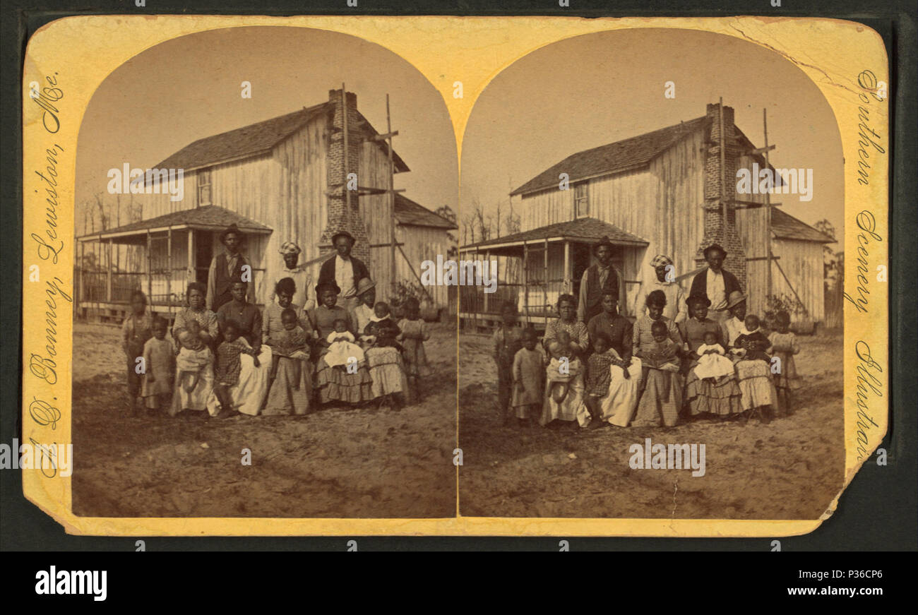 . Colored group. Florida. Alternate Title: Southern scenery illustrated. Digital item published 7-18-2005; updated 2-12-2009. 71 Colored group. Florida, from Robert N. Dennis collection of stereoscopic views Stock Photo