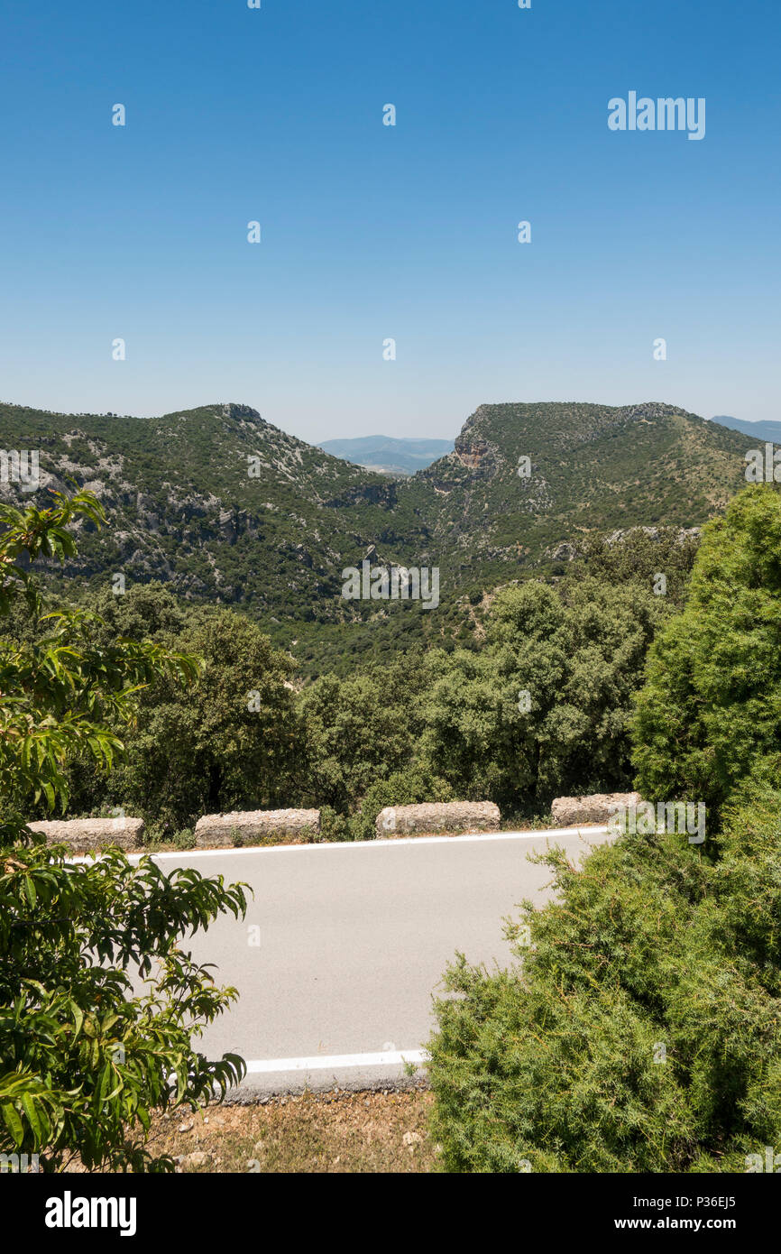 El Pinsapar, Biosphere Reserve, Sierra de Grazalema, with Garganta verde in background, Andalusia, Spain. Stock Photo