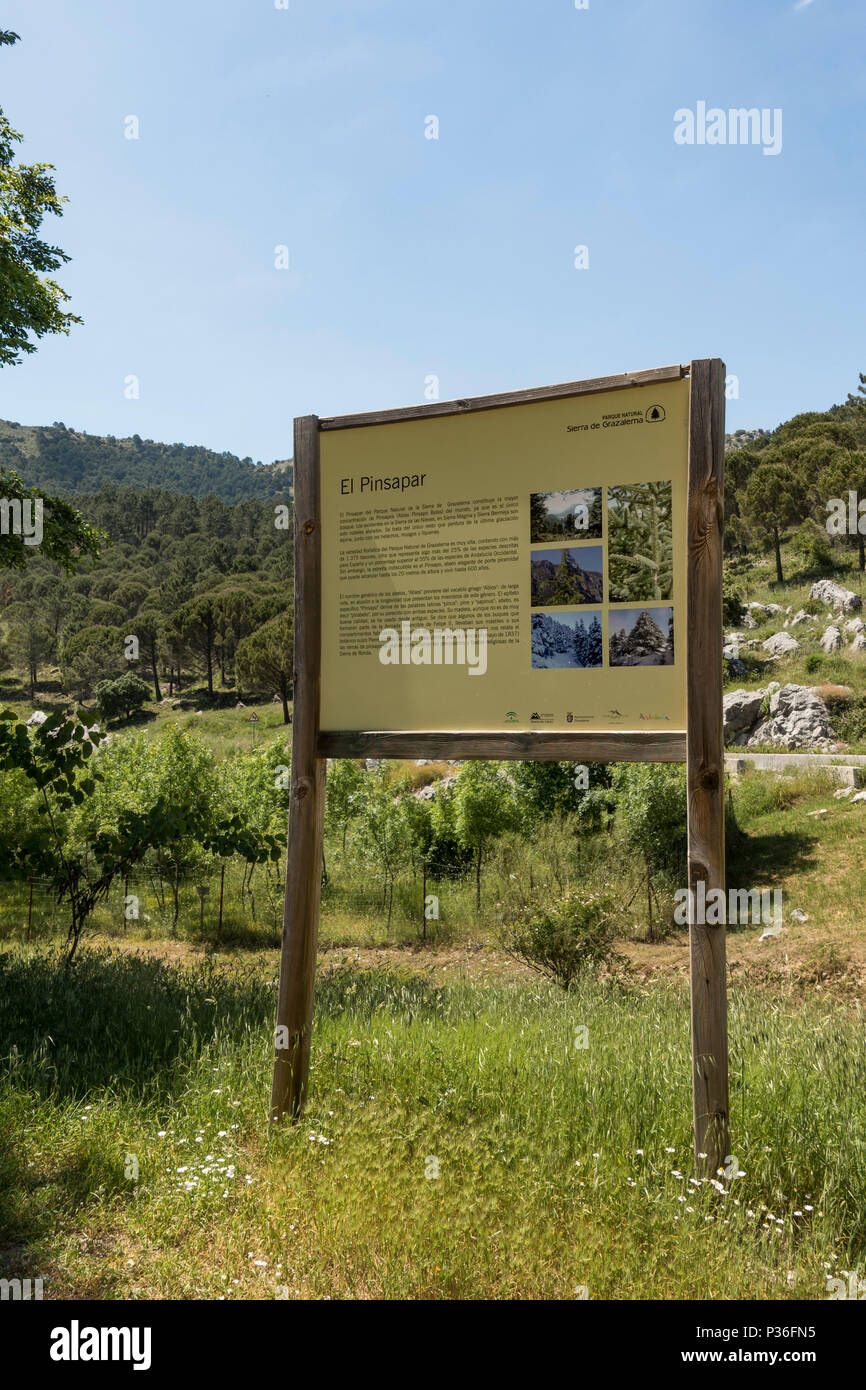 Sign at El Pinsapar, Biosphere Reserve, Sierra de Grazalema, Andalusia, Spain. Stock Photo