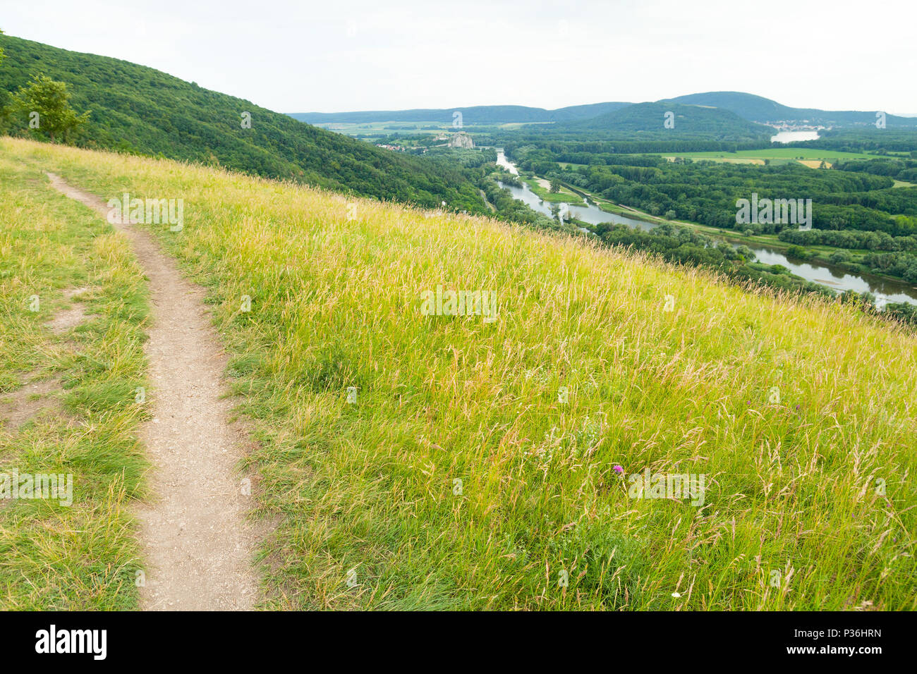 green meadow with dirt path Stock Photo