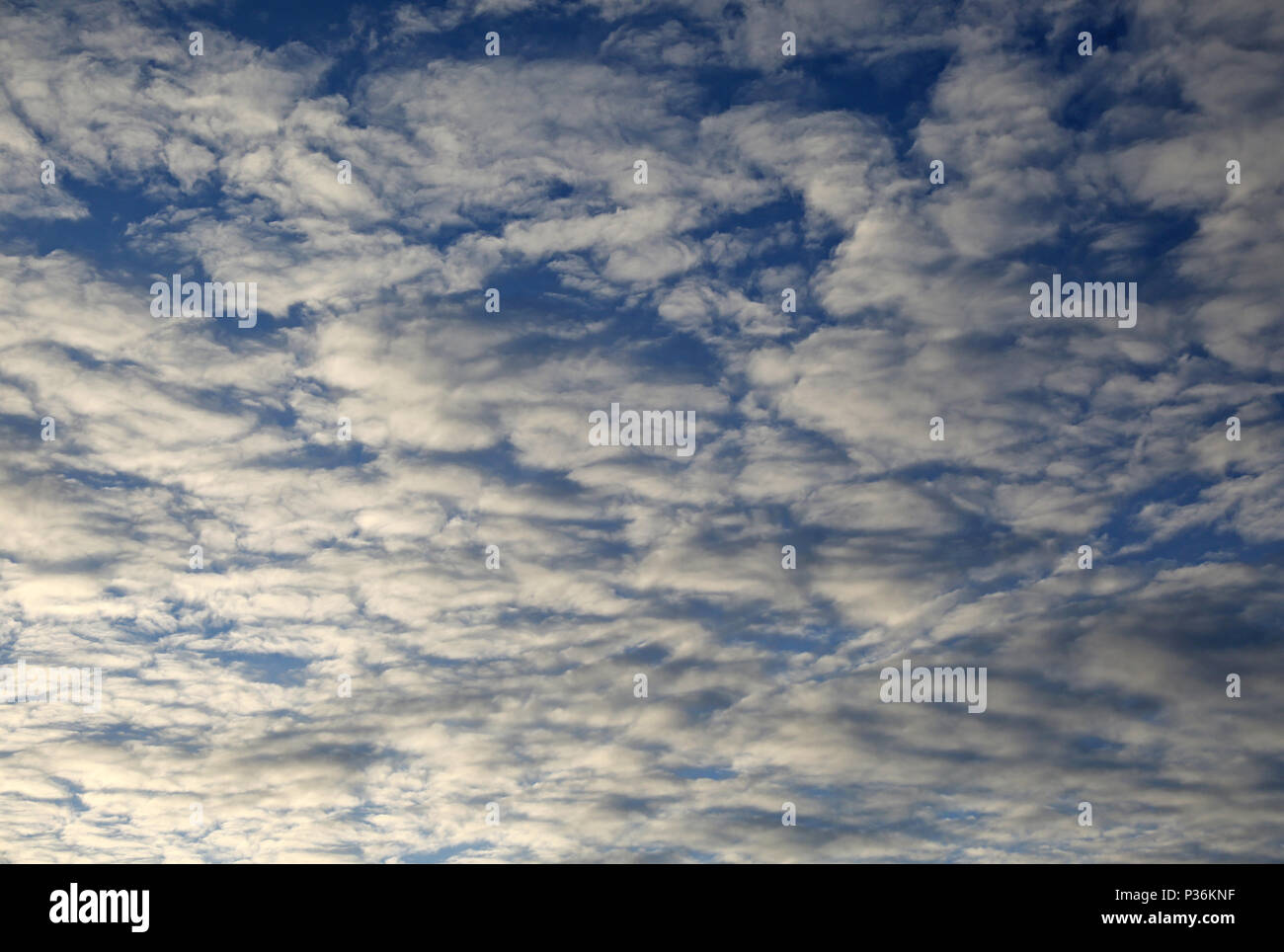 Berlin, Germany, Altocumulus clouds Stock Photo